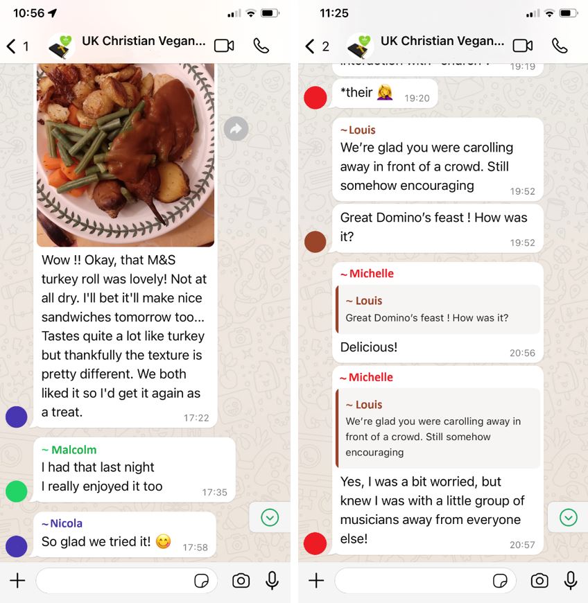 Christian vegan group participant interactions, showing diary entries
